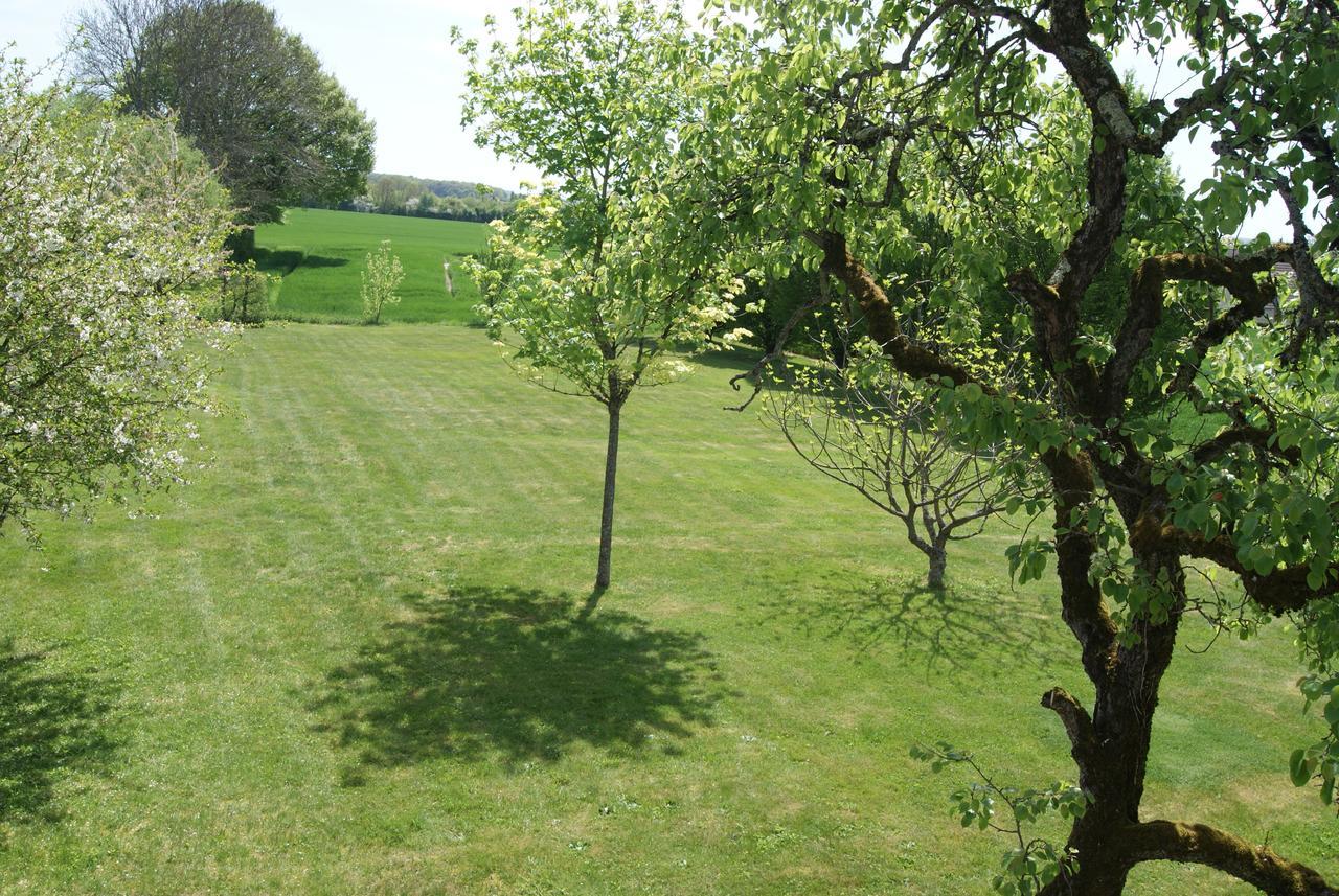 Le Lac Aux Fees Henrichemont Exterior photo